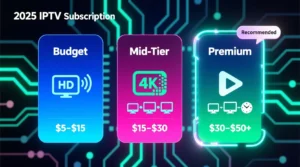 iptv subscription cost